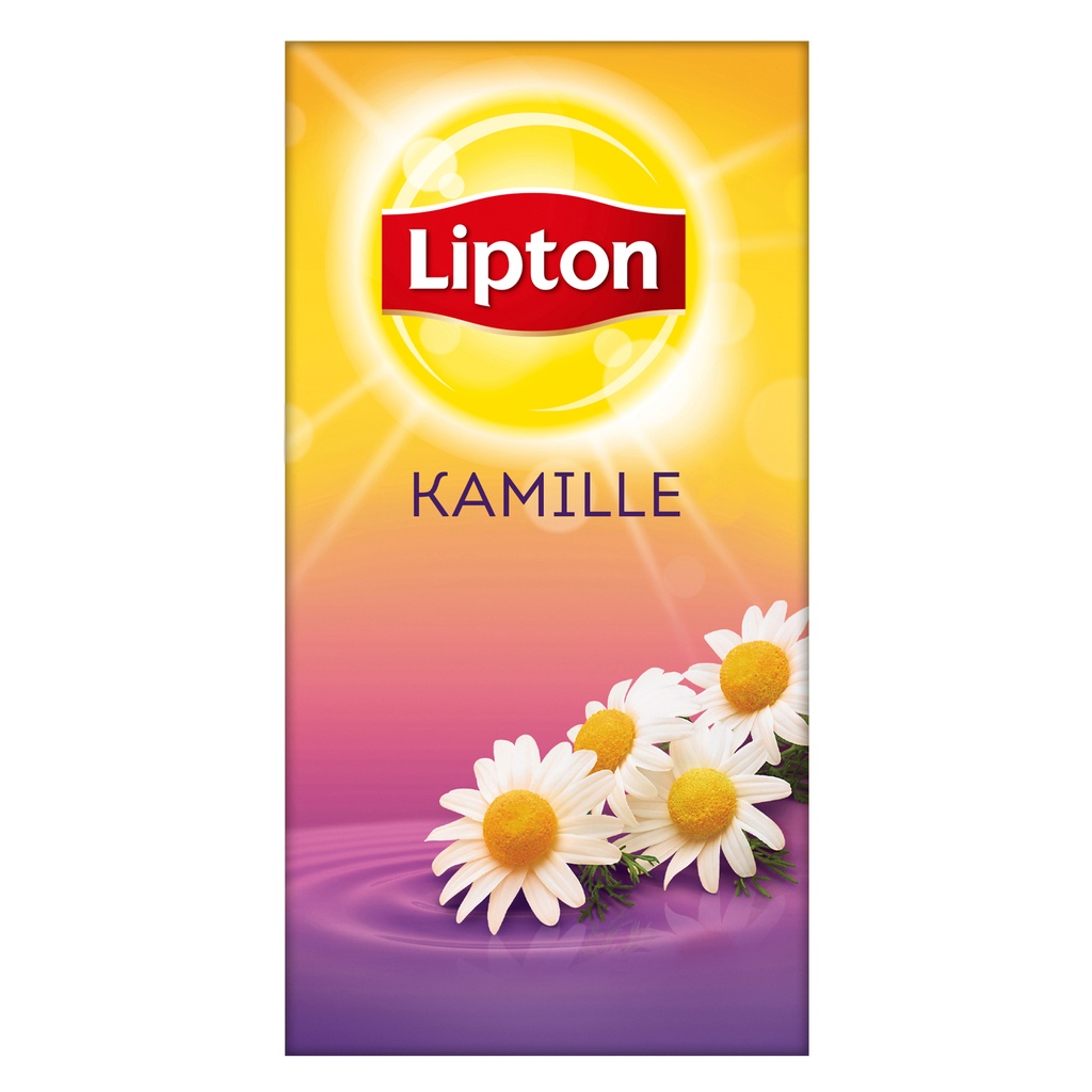 The Camille Lipton 25 pcs