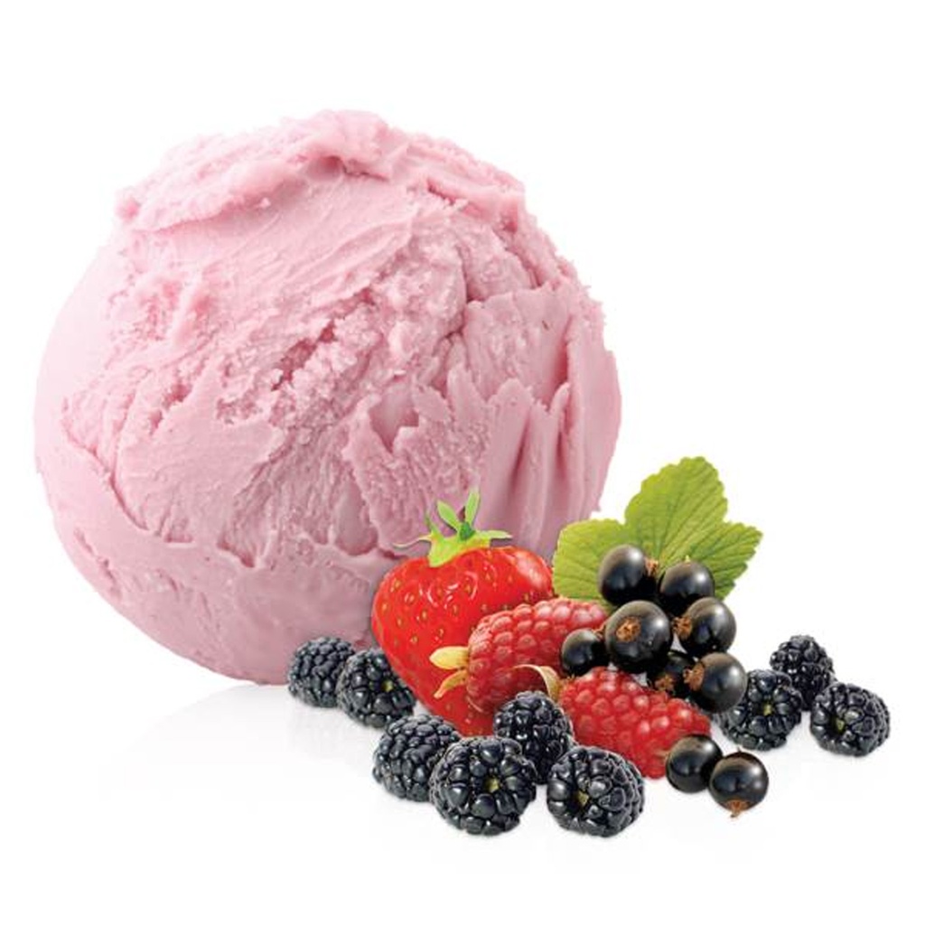 Creme Glace Yaourt/Cassis Il Primo (Venezia) 2,5 L