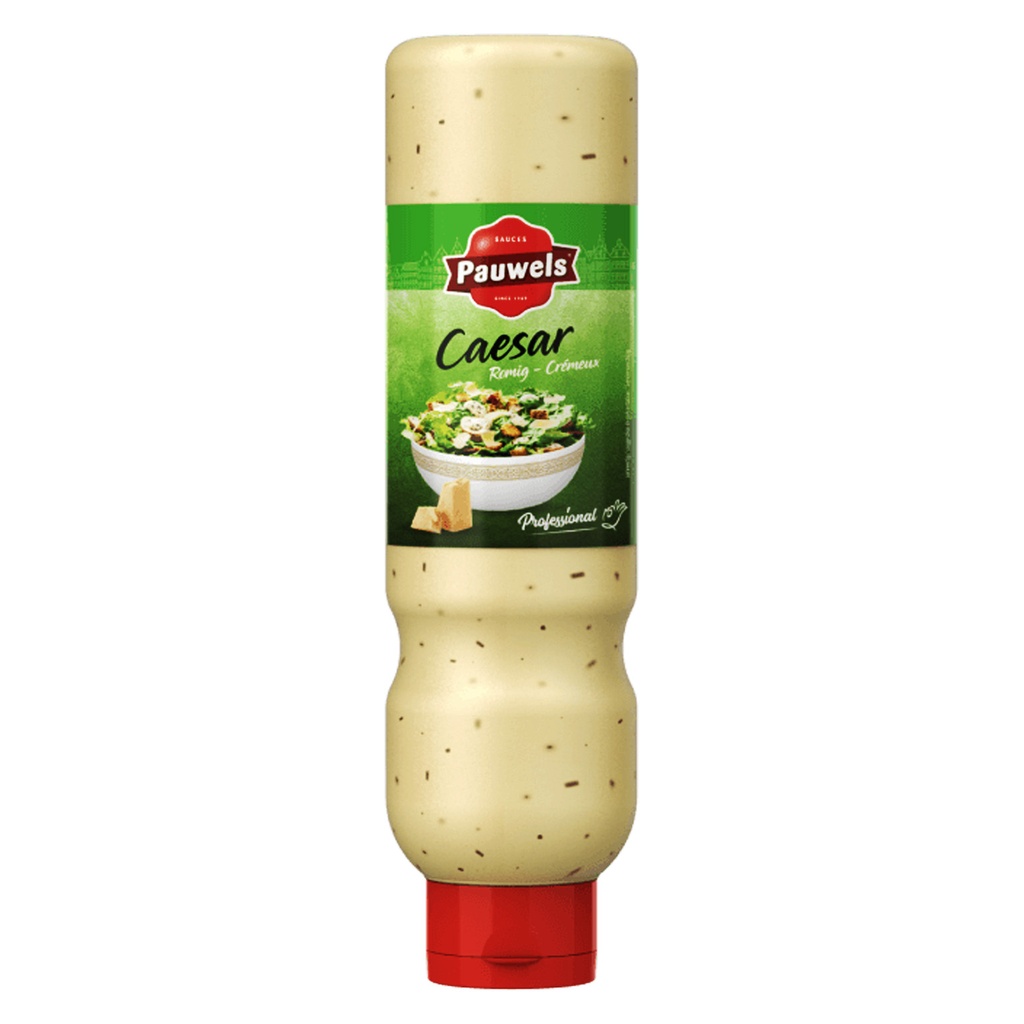 Cheddar Saus (warm/koud) Pauwels Tube 950 gr (kopie)