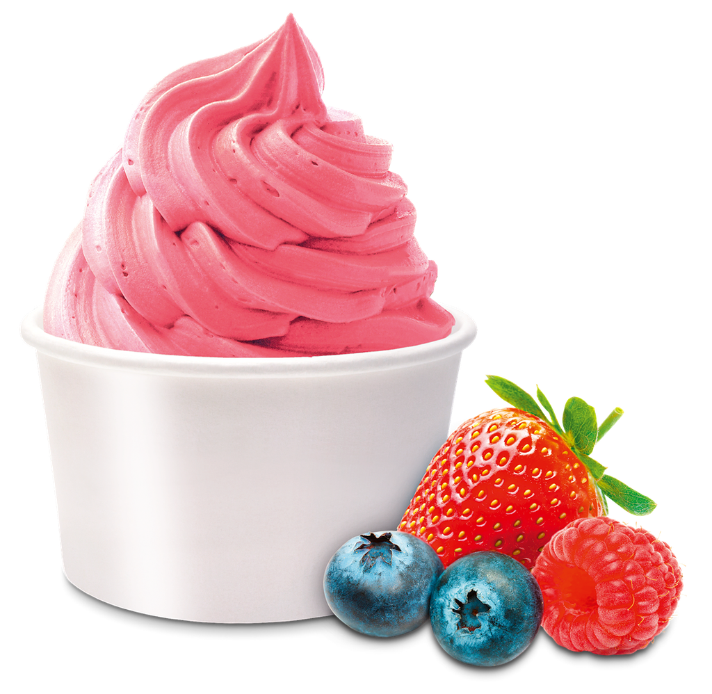 Yaourt Glacé Fruits des Bois One Shot 18 x 160 ml