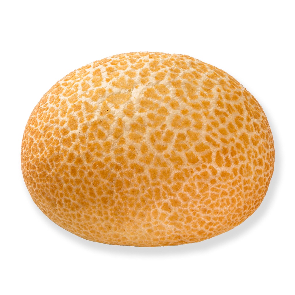 224905 Pistolet Tigre Pastridor 60 x 80 gr