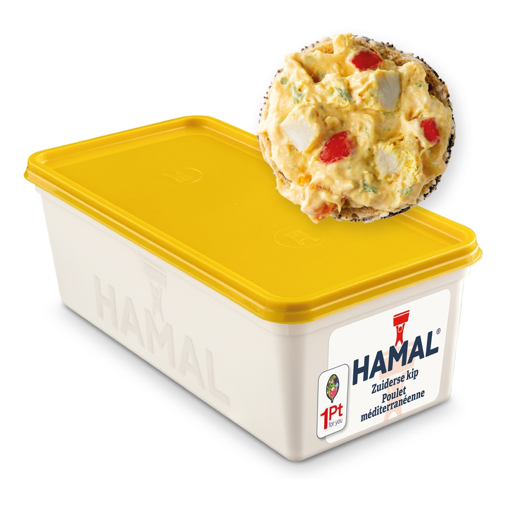 Salade de poulet du Sud Hamal – 1 kg