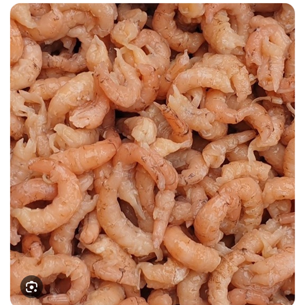 Crevettes grises Frais Pelees 1 kg