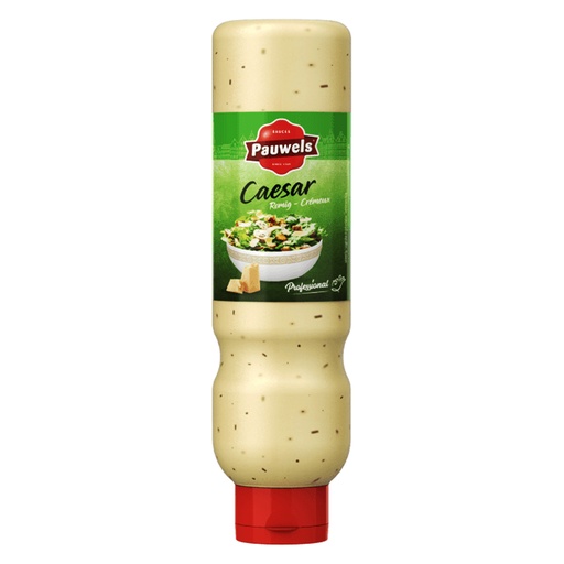[PR/13987] Cheddar Saus (warm/koud) Pauwels Tube 950 gr (kopie)