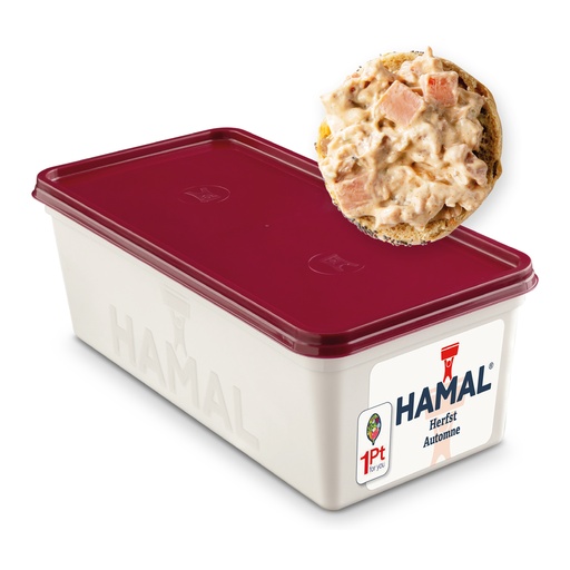 [19385] Salade d'Automne Hamal Barquette 1 kg