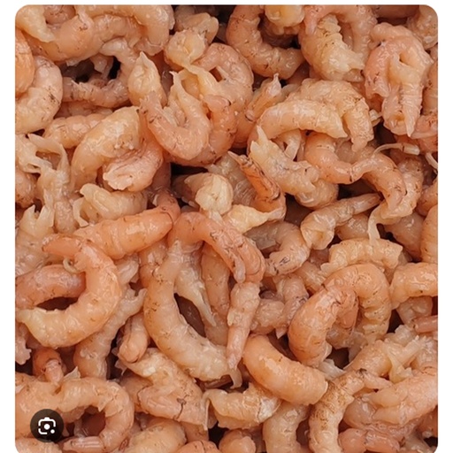 [9851] Crevettes grises Frais Pelees 1 kg